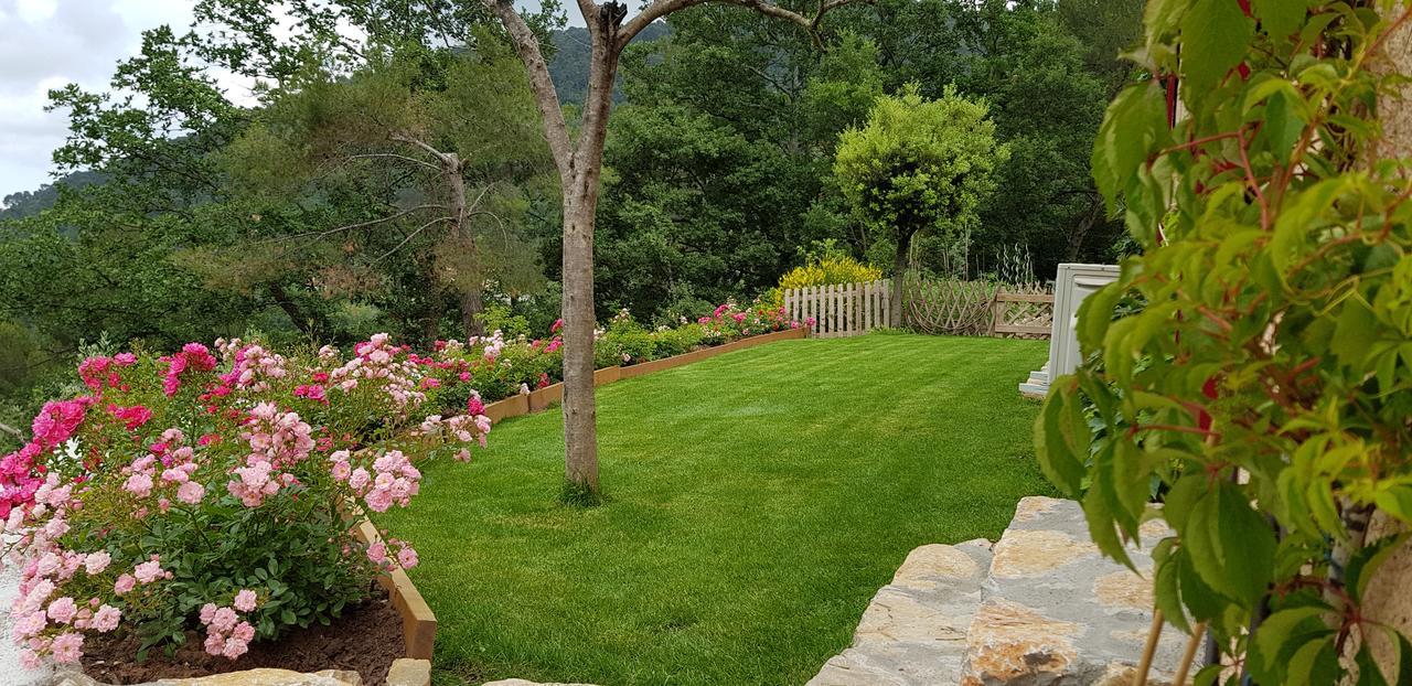 B&B L'Estuve Provencale Bargemon Dış mekan fotoğraf
